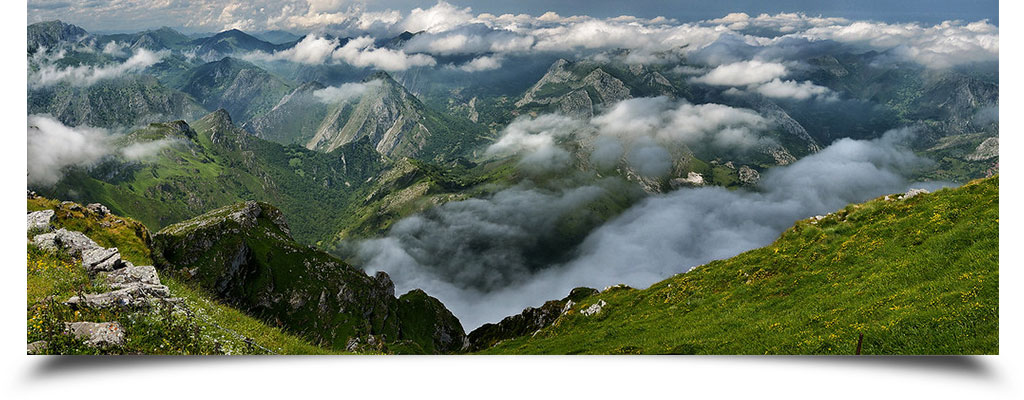 Responsive image